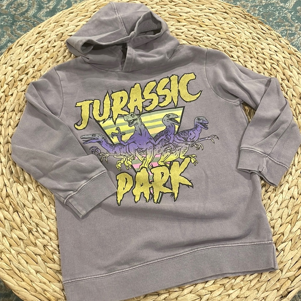 Jurassic Park Hoodie kids size 7